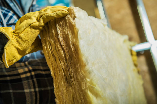 Best Geographic-Specific Insulation Services in Shenandoah Heights, PA