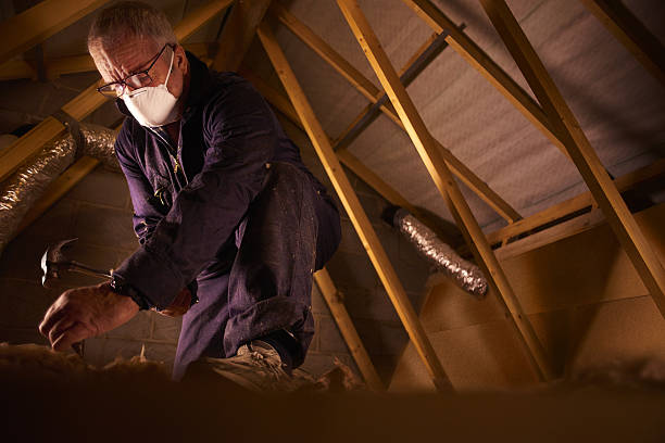 Best DIY Insulation Kits and Guidance in Shenandoah Heights, PA