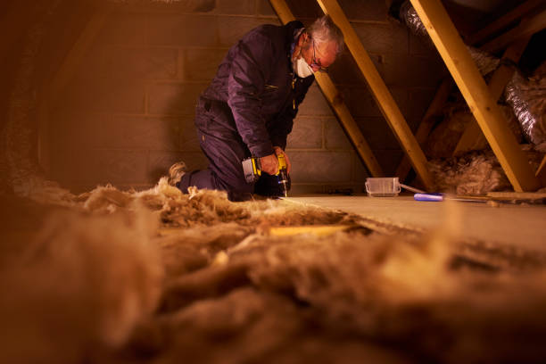 Best Residential Insulation in Shenandoah Heights, PA